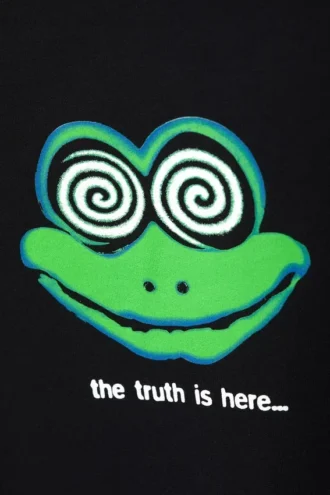 Boxy T-Shirt mit Print – Schwarz – The Frog is Here