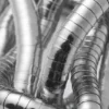 Flexible Stahlkette – Silber Flexible Stahlkette – Silber