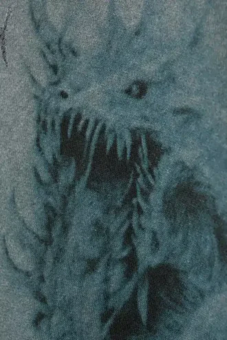 Kapuzenpullover mit Print, lockere Passform – Schwarz – Drache