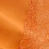 Kurze Satin-Spitzen-Shorts – Orange Kurze Satin-Spitzen-Shorts – Orange