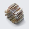 Muschel-Armband – Bunte Muscheln Muschel-Armband – Bunte Muscheln