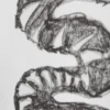 Tolles, kastenförmiges Langarmshirt mit Print – Weiß – Skeleton Dreams Tolles, kastenförmiges Langarmshirt mit Print – Weiß – Skeleton Dreams
