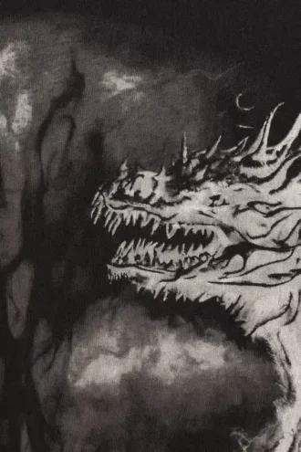 Weites, übergroßes bedrucktes T-Shirt – Schwarz – Drache