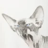 Weites, übergroßes bedrucktes T-Shirt – Weiß – Sphynx-Katze Weites, übergroßes bedrucktes T-Shirt – Weiß – Sphynx-Katze
